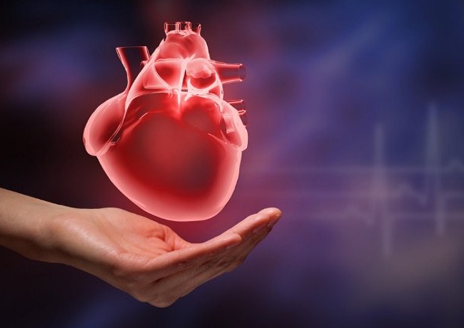 - HealthNews24Seven