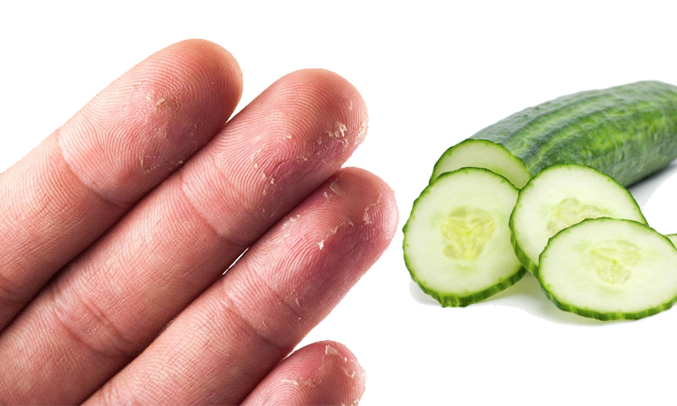 HAND amp cUCUMBER - HealthNews24Seven
