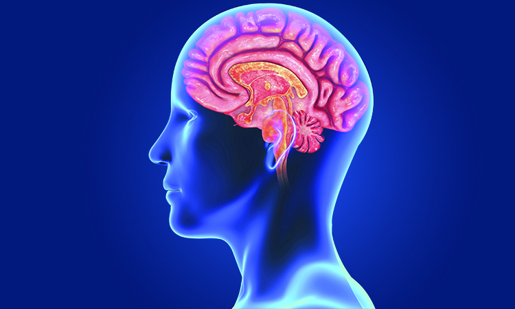 - HealthNews24Seven