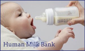 human milk bank