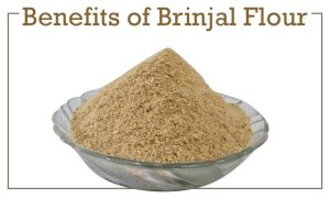 brinjal flour