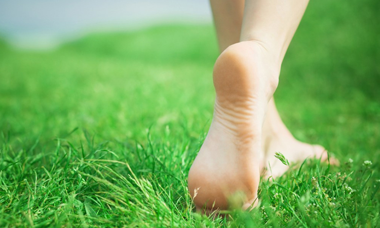 Bare foot walking on grass