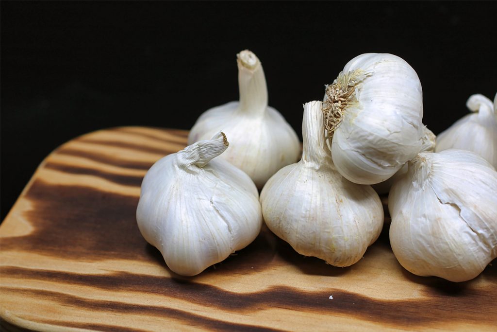 garlic - HealthNews24Seven