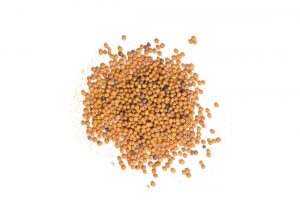 musturd seeds