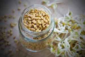 sprouted fenugreek
