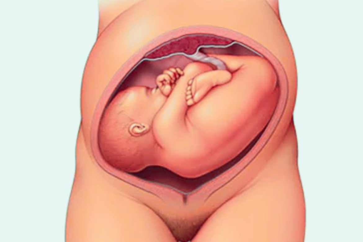 36 недель беременности кровь. Новорожденный 36 недель.
