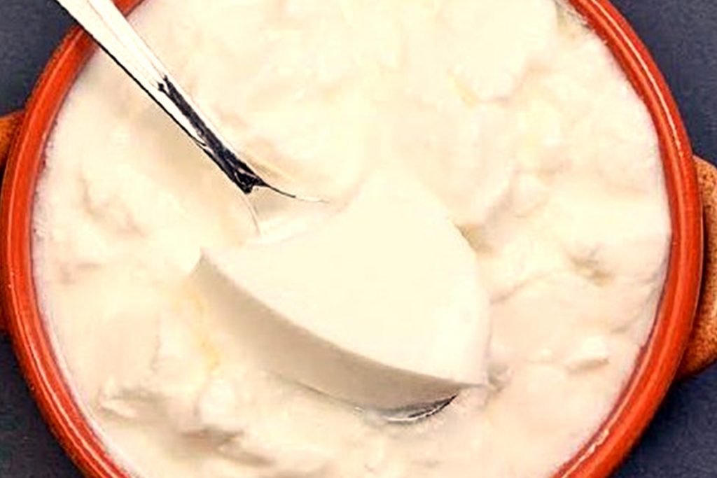 Dahi - HealthNews24Seven