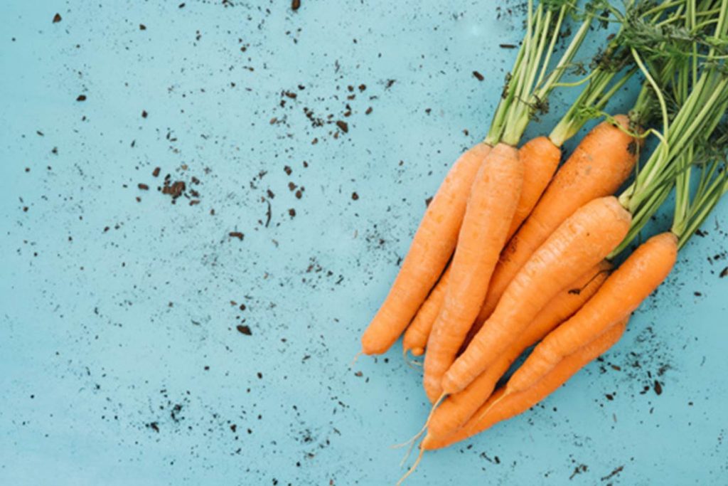 carrot - HealthNews24Seven