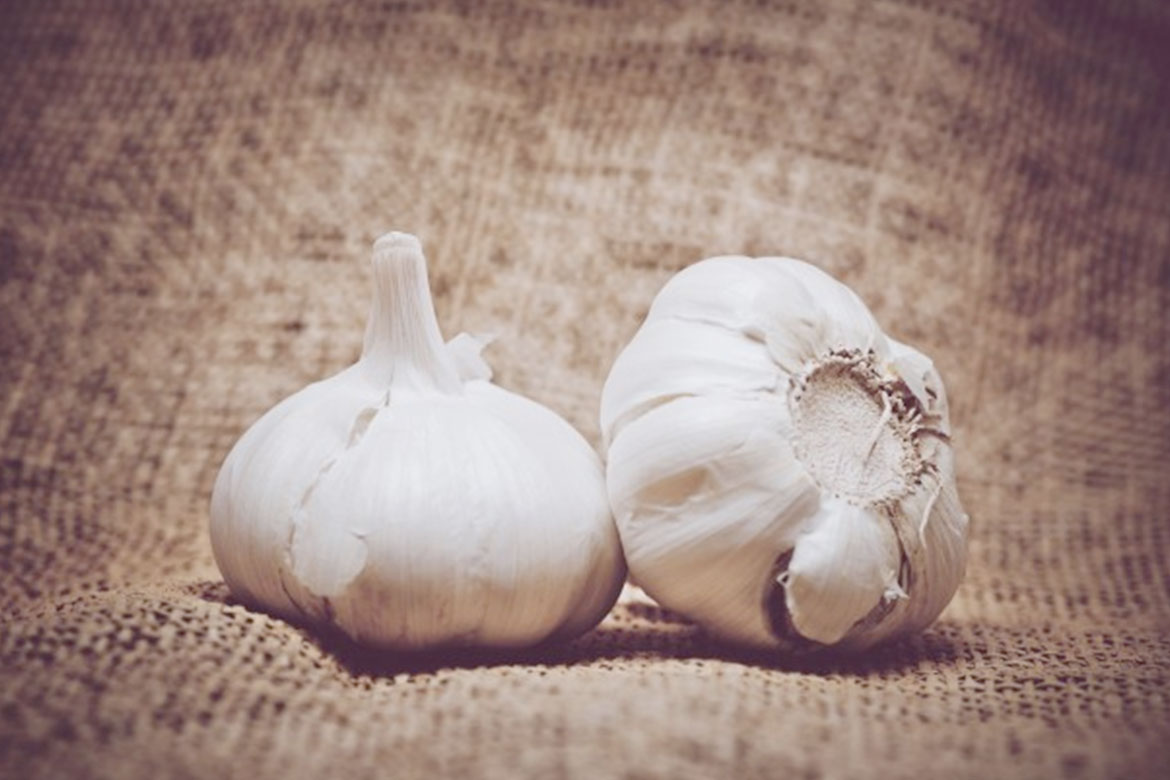 garlic