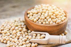 healthy soy products