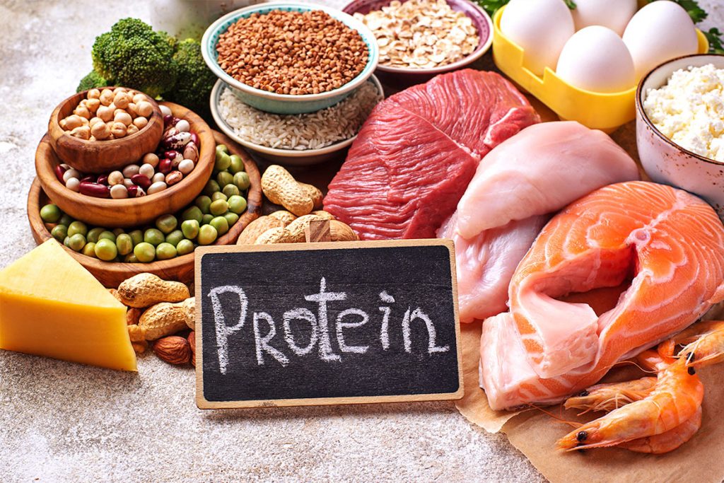 Diet Rich In Protein
