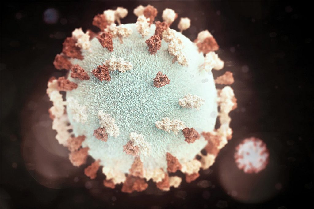 corona virus