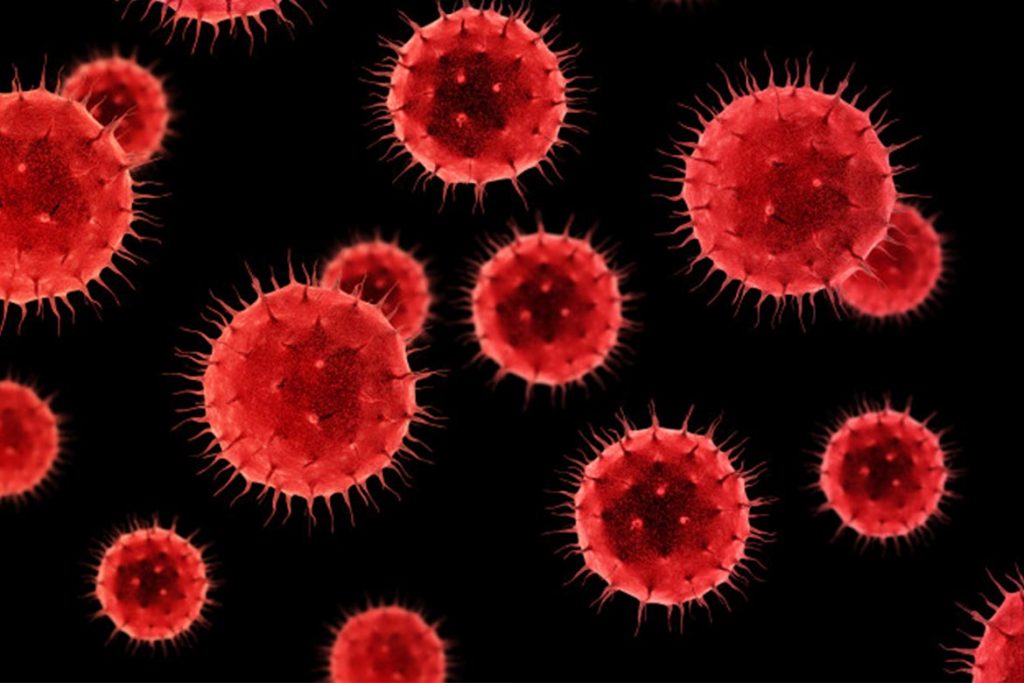 corona virus - HealthNews24Seven