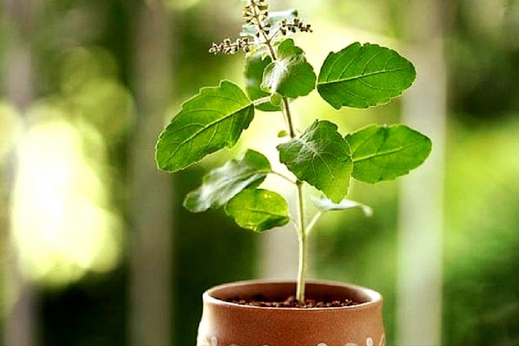 vastu - HealthNews24Seven
