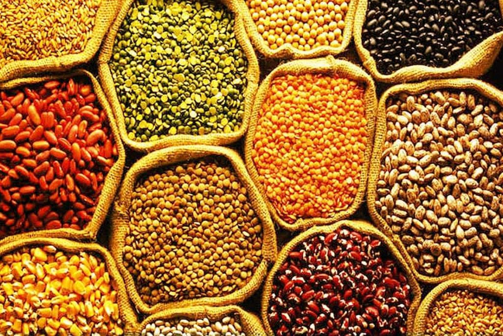 food - HealthNews24Seven