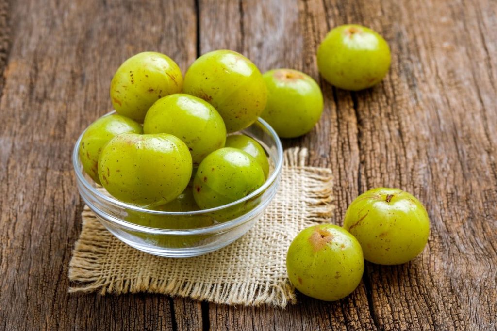 - HealthNews24Seven