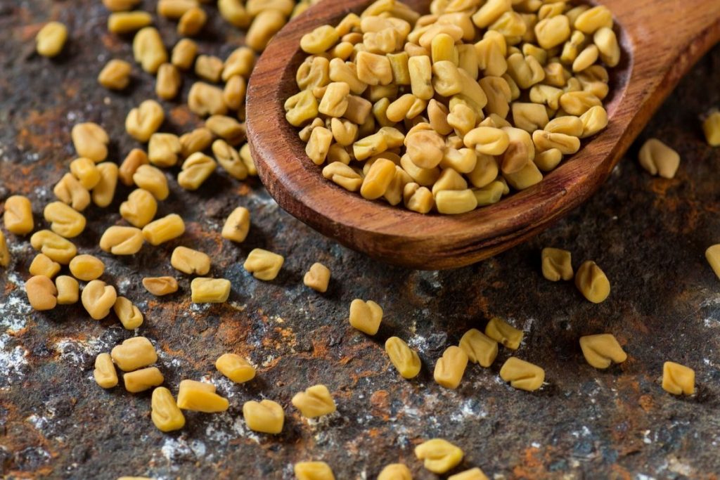 fenugreek seeds