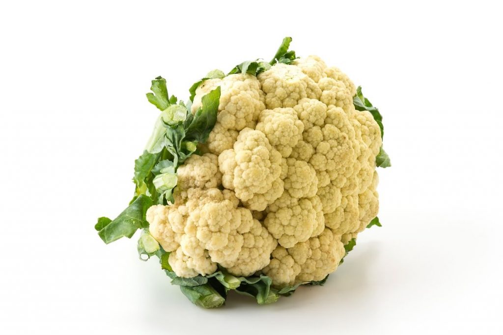 cabbage - HealthNews24Seven