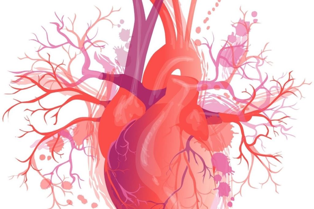 heart disease - HealthNews24Seven