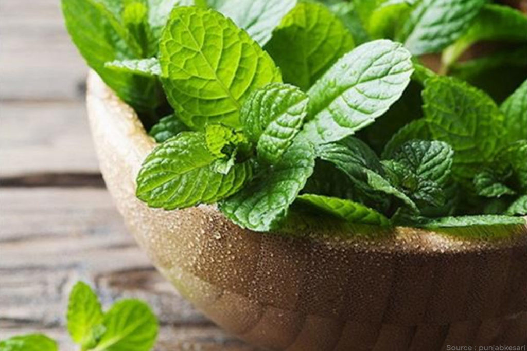 - HealthNews24Seven