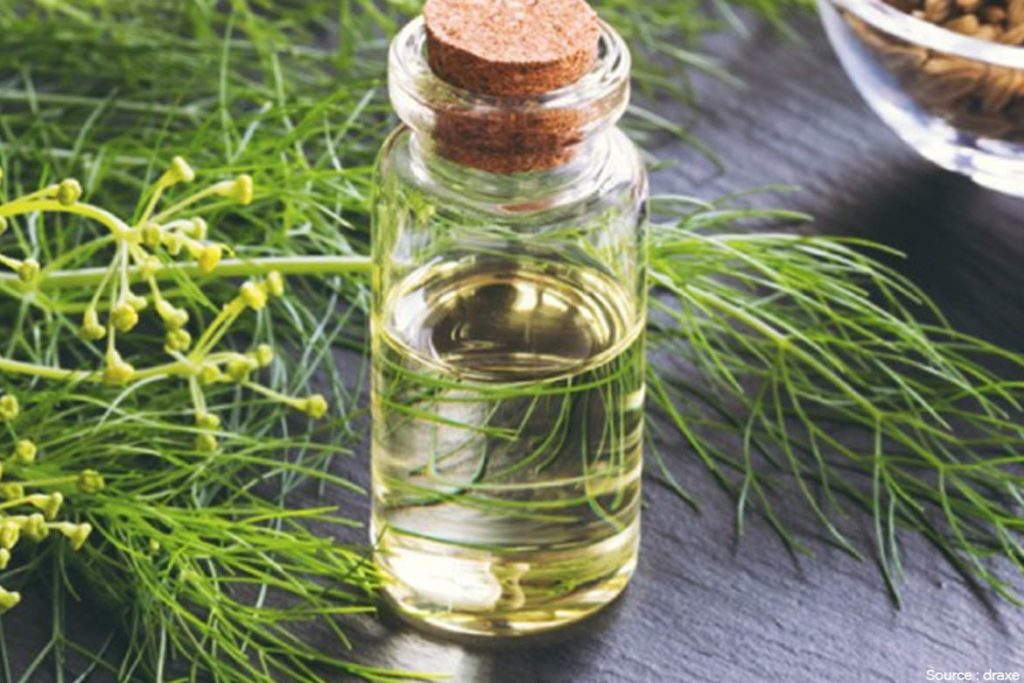- HealthNews24Seven