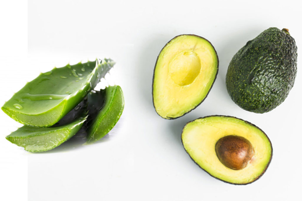 AloeVeraAndAvocadoMask - HealthNews24Seven Aloe Vera And Avocado Mask