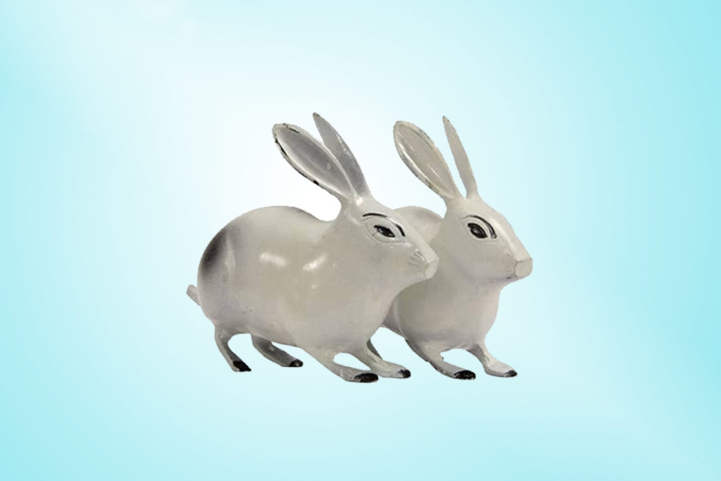 A pair of rabbits in the East-South-East zone of the workplace
