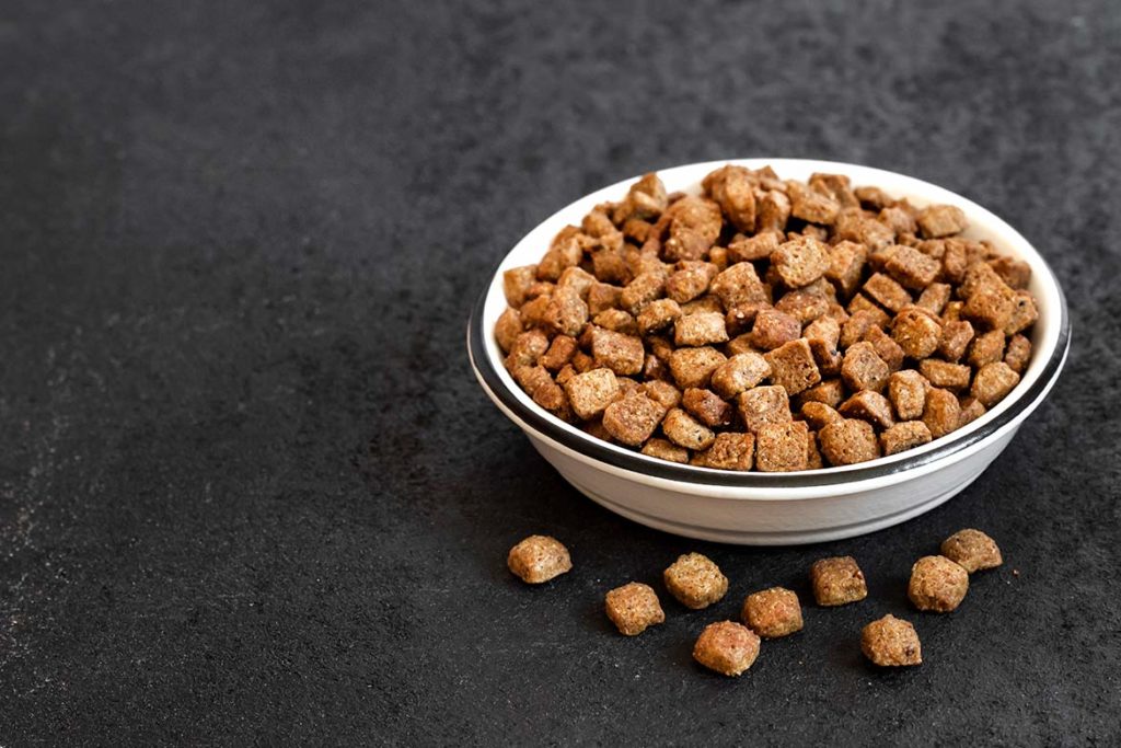 Crunchy Kibble