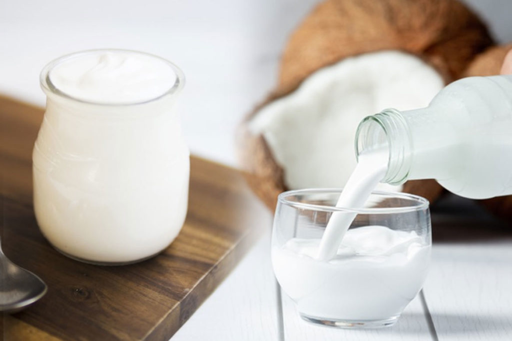 Yogurt With Coconut Milk