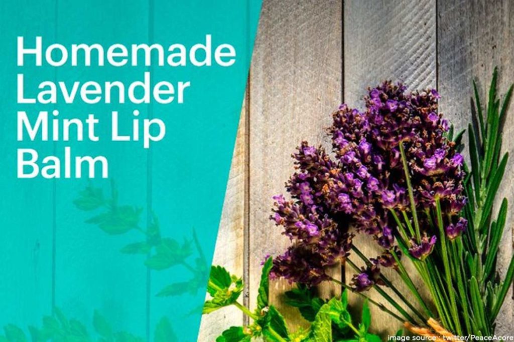 Homemade Lavender Mint Lip Balm