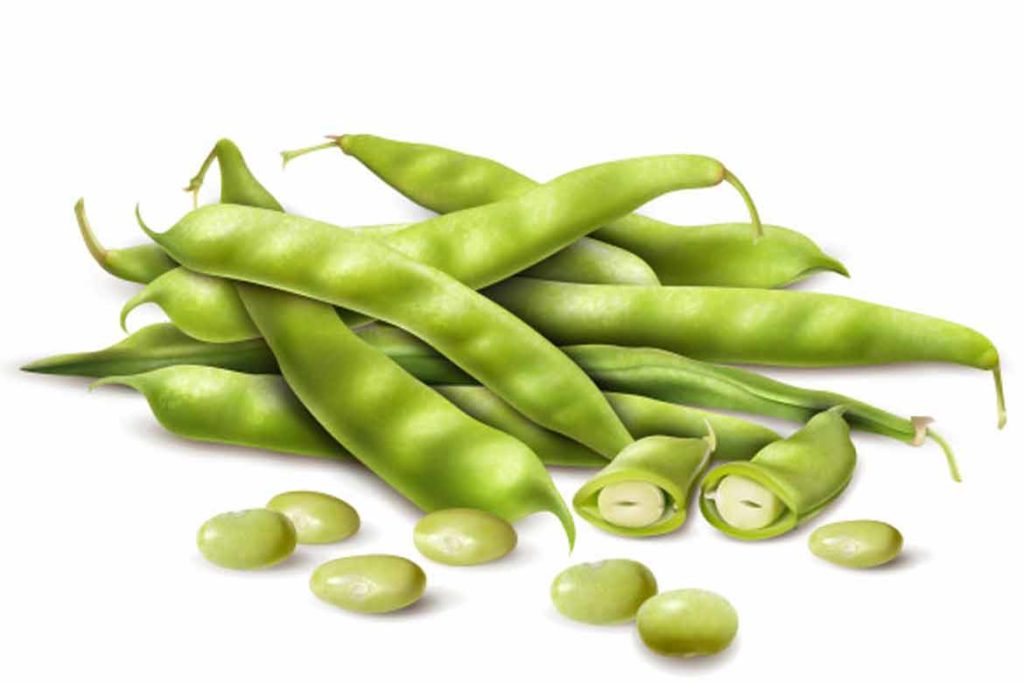 फलियां