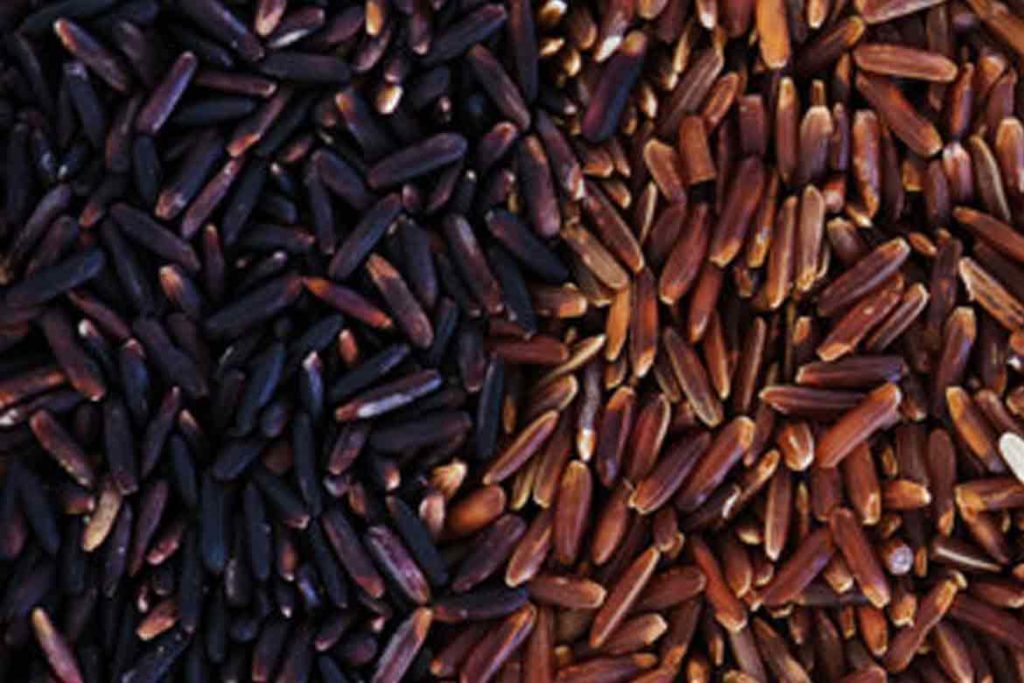 rice - HealthNews24Seven rice